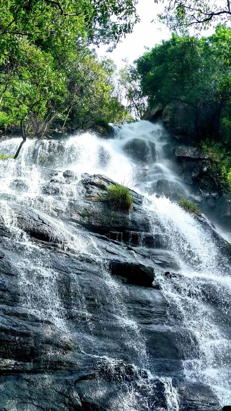 Kiliyur Falls travellifestyle bikeride yarcuad roadtrip hillstation nature greenery clouds besttrip instatravel naturephotography mobileclick