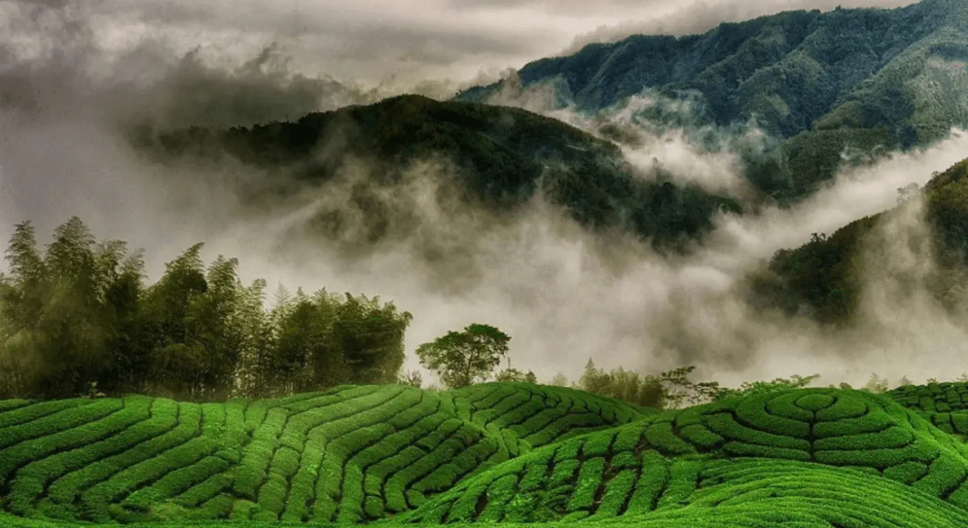 Tamilnadu Tour Packages