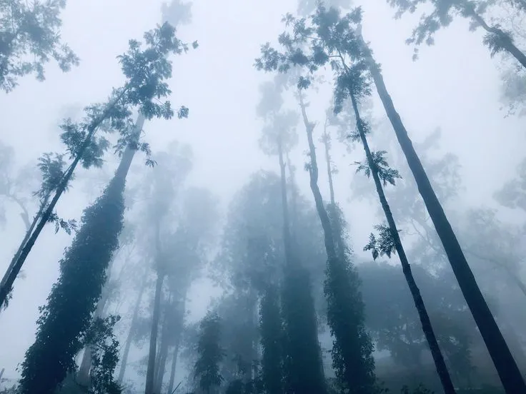 Yercaud India beautiful awesome great dayobamidele